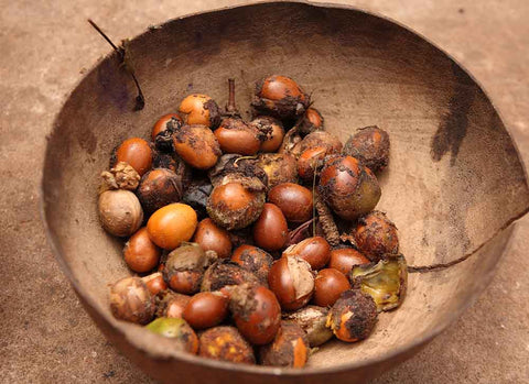 raw shea nuts in a bowl